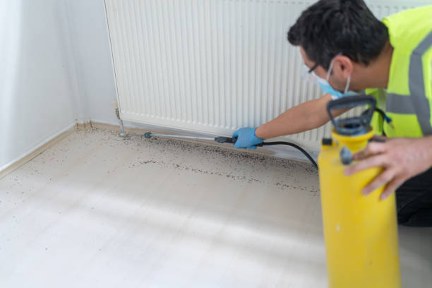 Best Affordable Pest Control Services  in Ligonier, IN